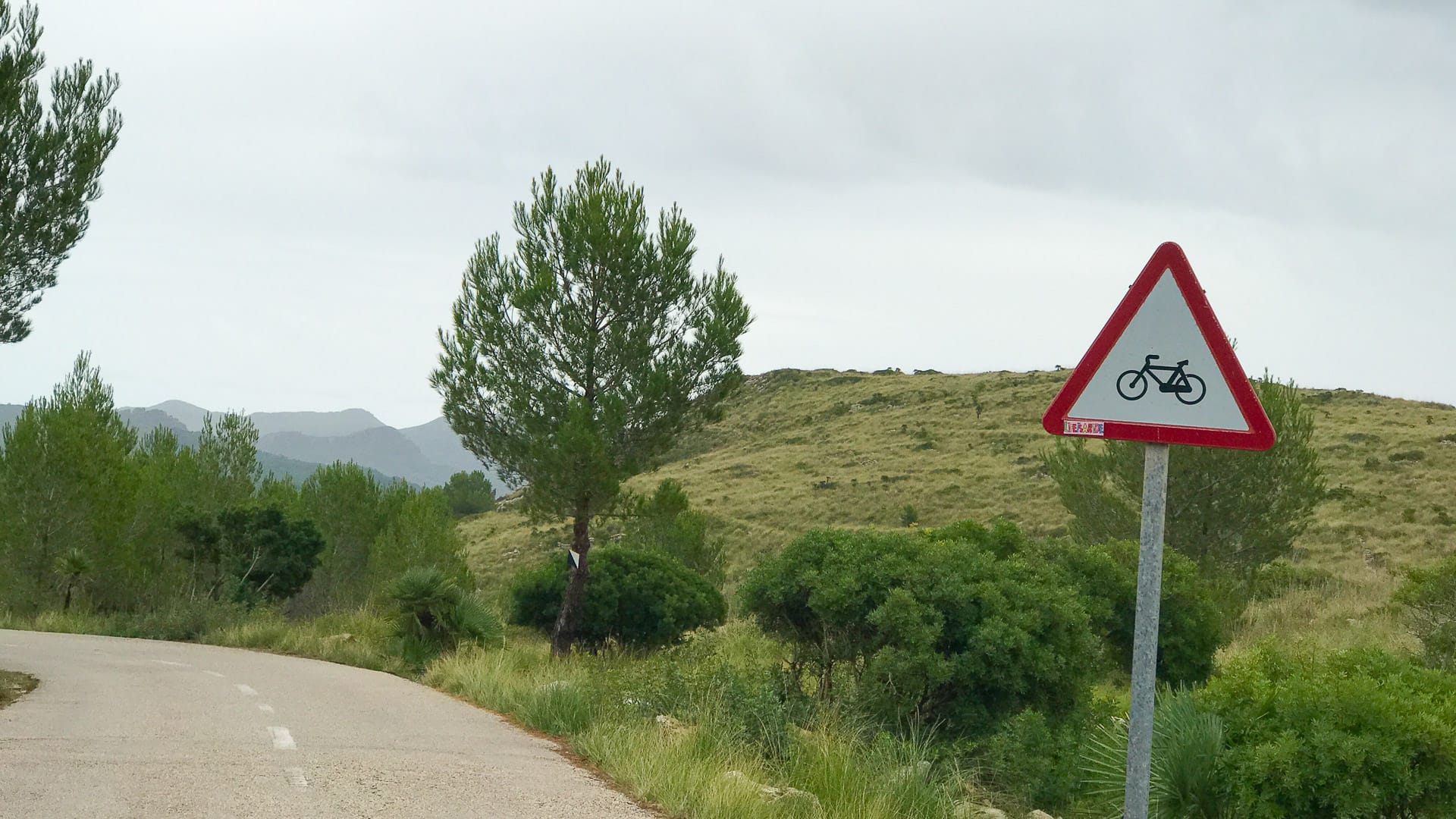 Sign saying to watch out for cyclists on this popular Mallorca cycling climb