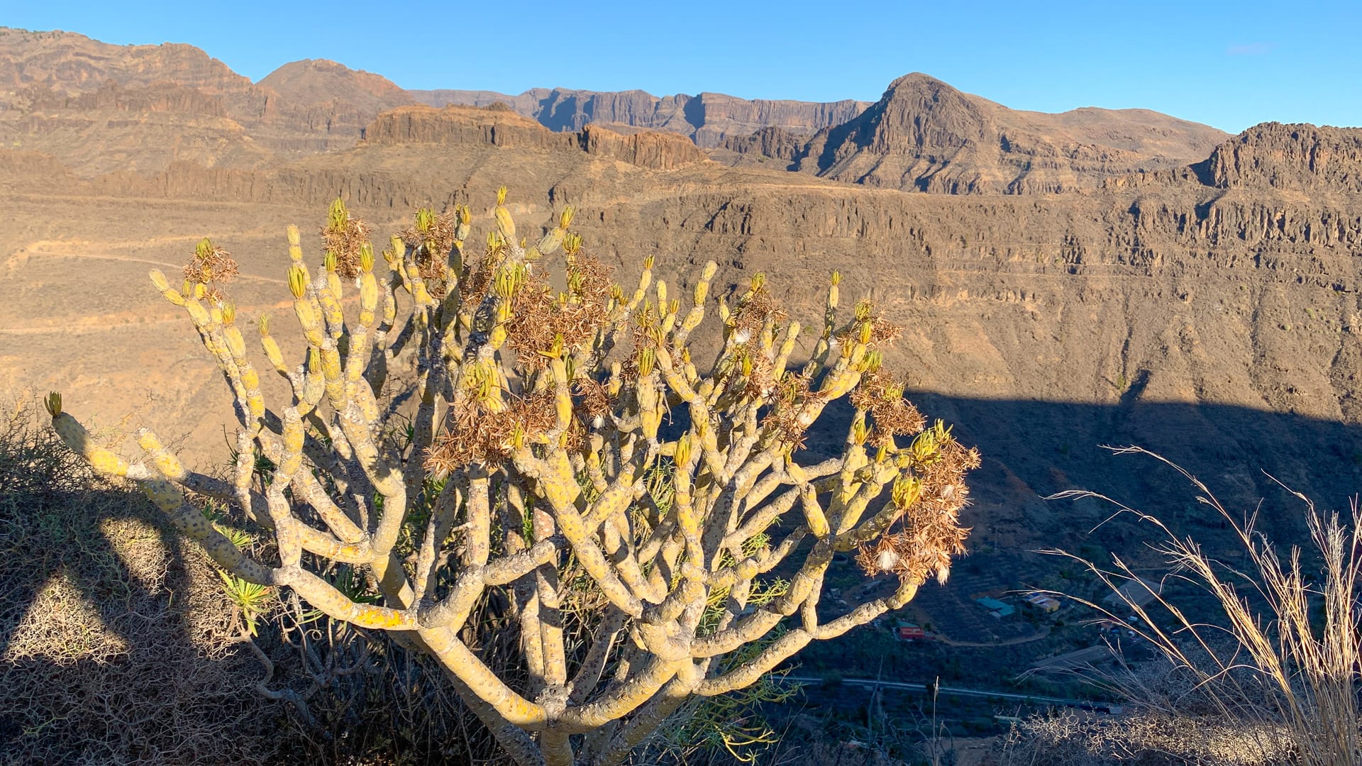 View from the Cima Pedro Gonzalez/Mirador de Ayagaures