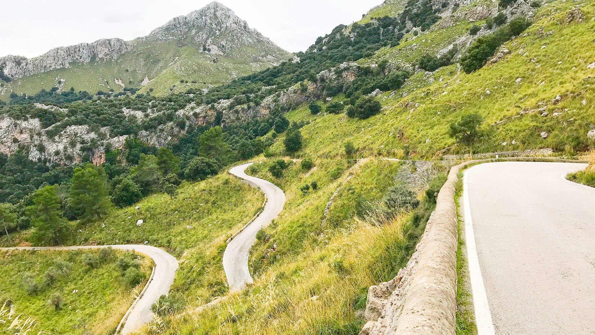 Narrow tarmac switchbacks climbing a green mountain valley in the Serra de Tramuntana, Mallorca