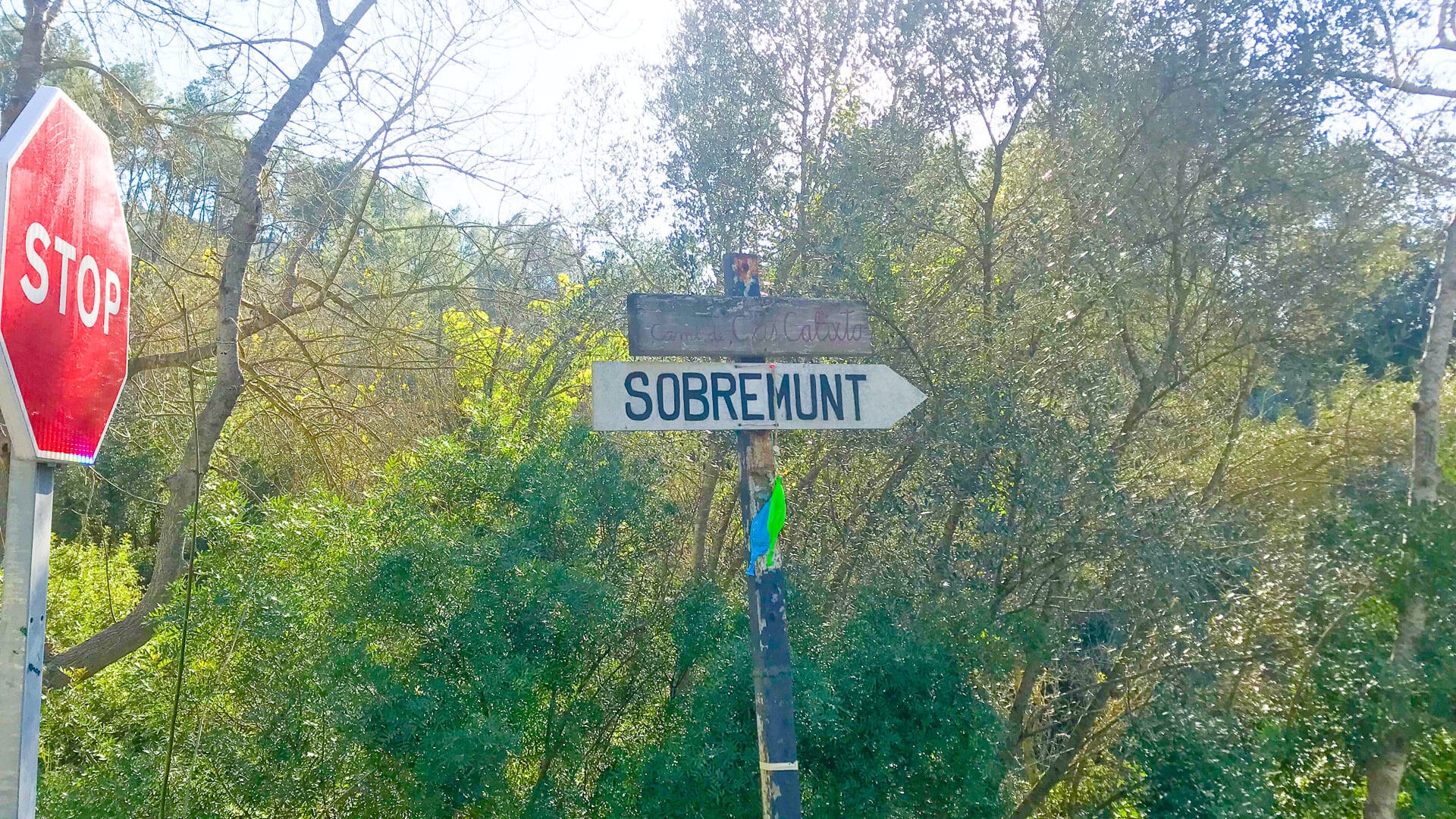 Wooden wayfinding arrow marked Sobremunt beside a rural lane, dappled trees and blue sky in Mallorca