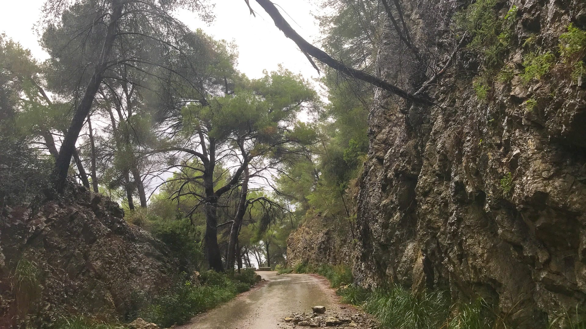 Rock falls on the road on La Victoria peninsula, on the Pollensa cycling route