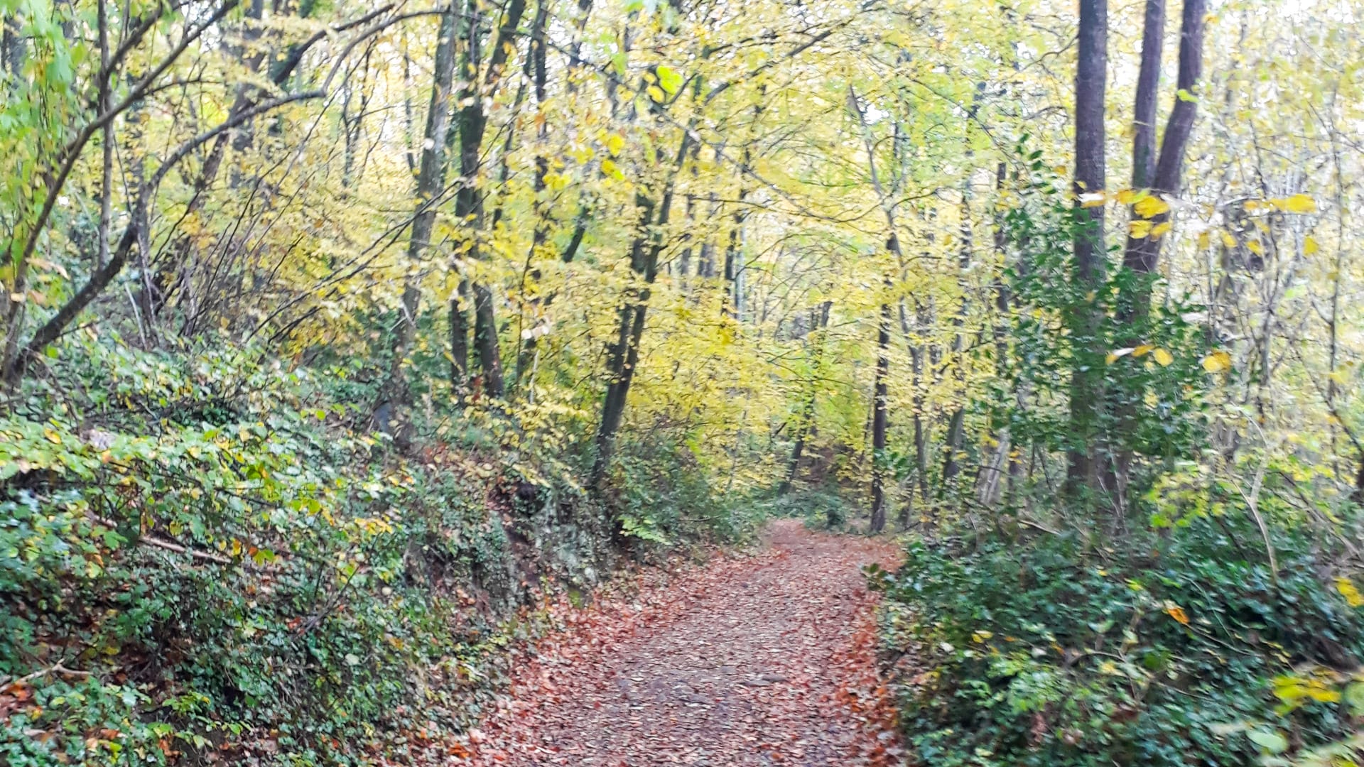 Hiking La Fageda in Autumn, Catalunya