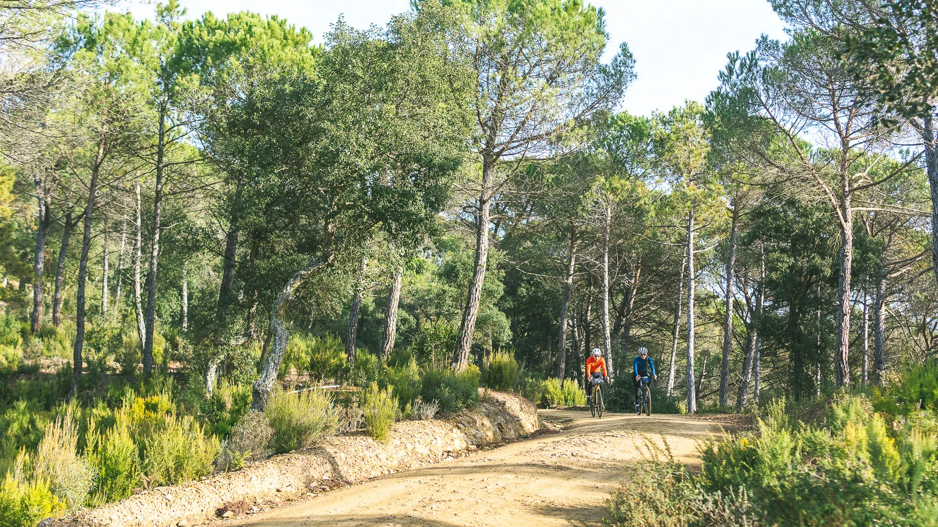 Cyclist on a woodland trail Girona Spain