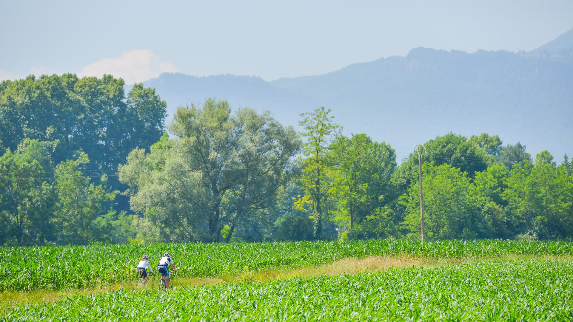 Cyclists on a cycling holiday near Girona