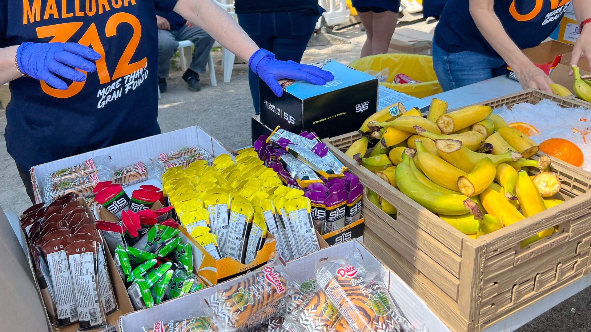 Feed station on Mallorca 312