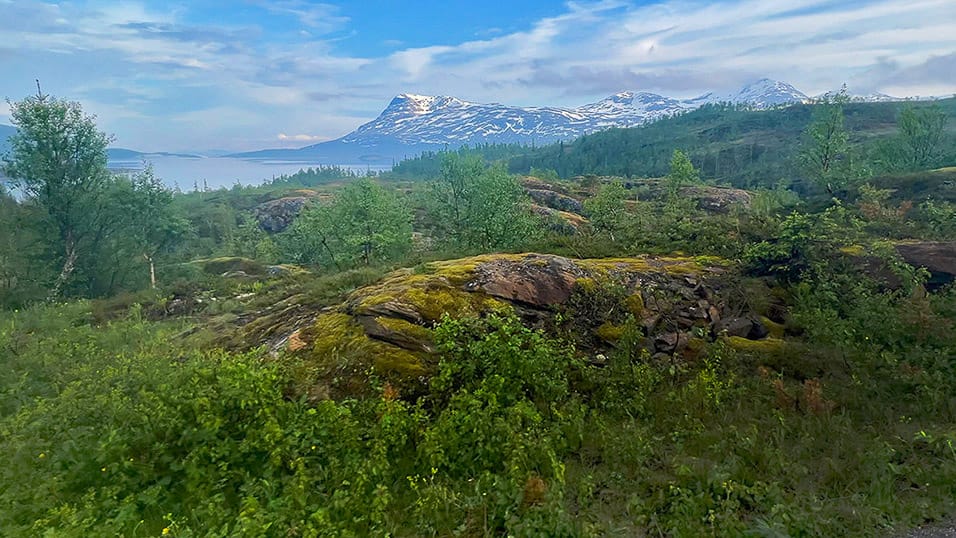 Misty view of mossy rocks and green forest with snow-capped Geittinden mountain