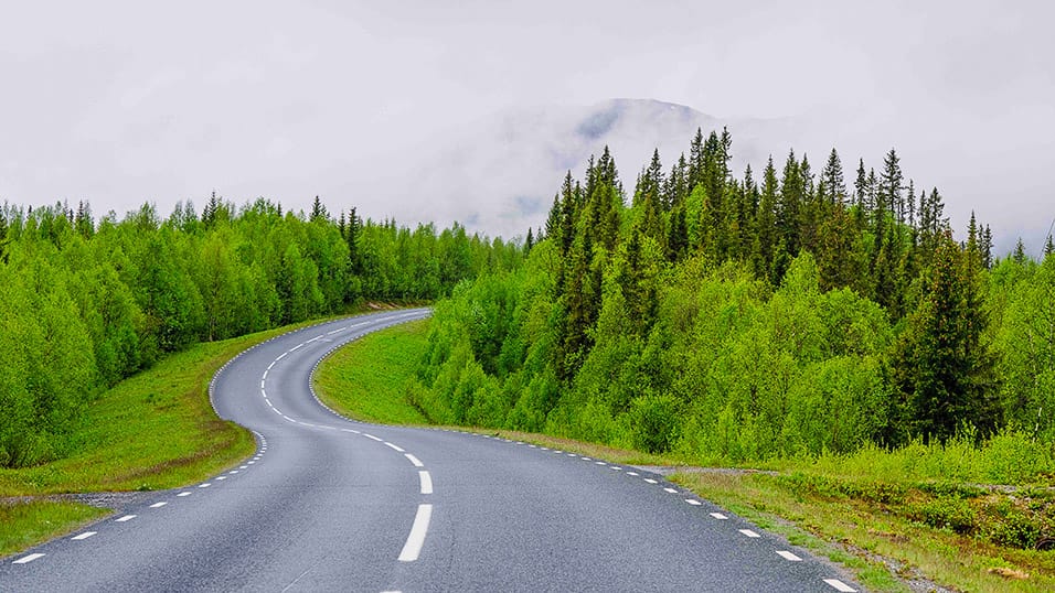 Winding road curving through bright green forest with misty mountain backdrop in northern Sweden