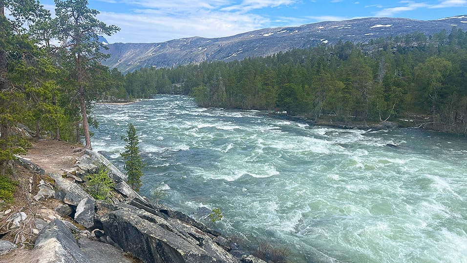 Rushing mountain river near with forested banks and distant peaks