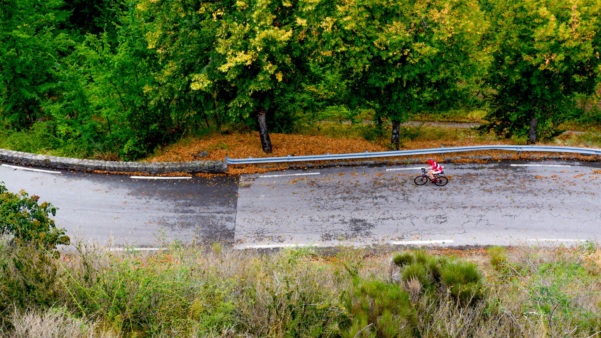 Cyclist riding alone on wet mountain road bordered by autumn trees along the Route des Grandes Alpes