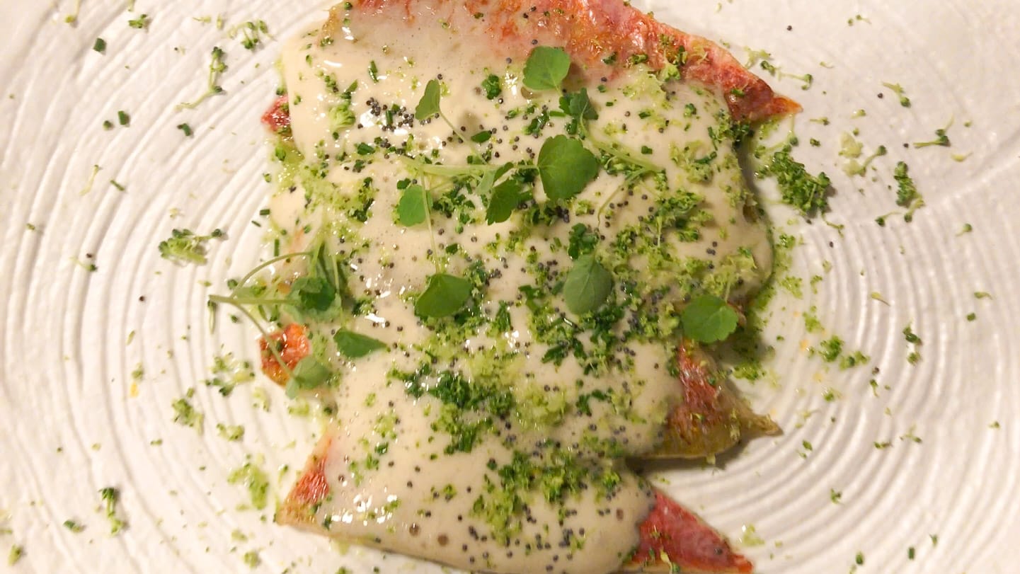 Plated fish dish with creamy sauce and fresh herbs at Girona fine dining restaurant