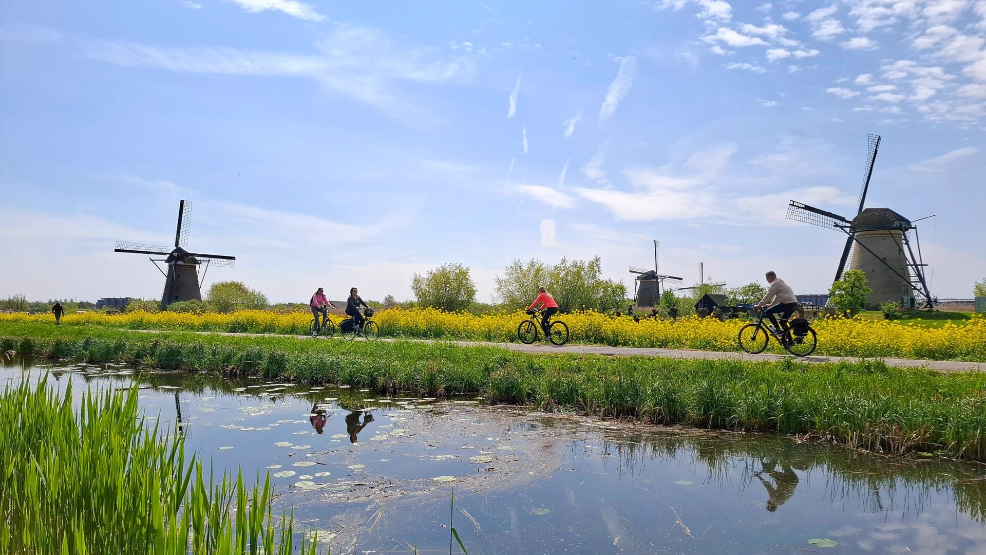Group of cyclists riding past Dutch windmills on the Amsterdam to Bruges cycling route beside a calm canal
