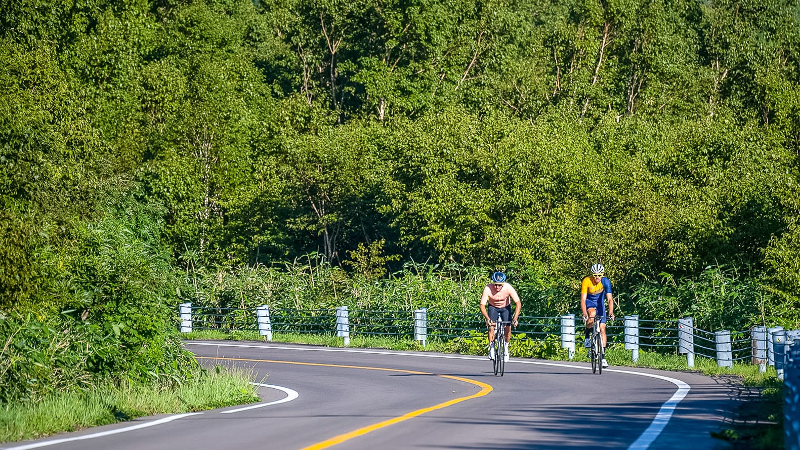 Two cyclists riding through green forest scenery on a winding road in Hokkaido Japan