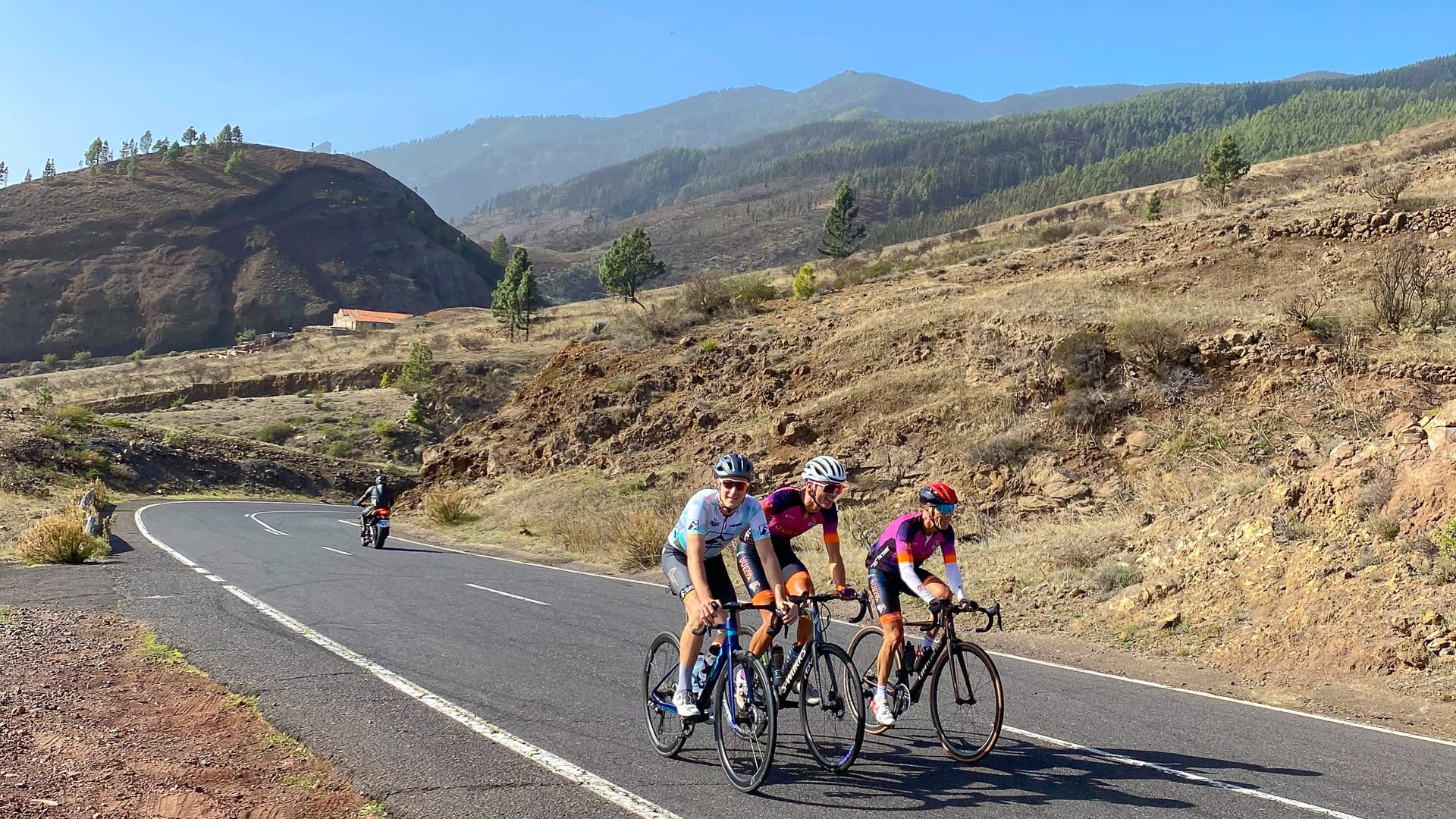 Group of cyclists riding uphill on a mountain road in Tenerife with dry volcanic scenery