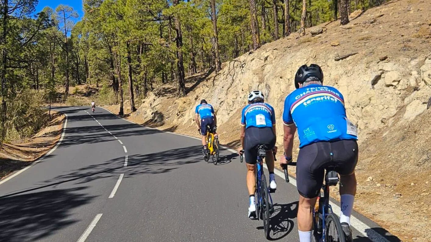 Cyclists climbing a mountain road through pine forest in the Corona Forestal of Tenerife