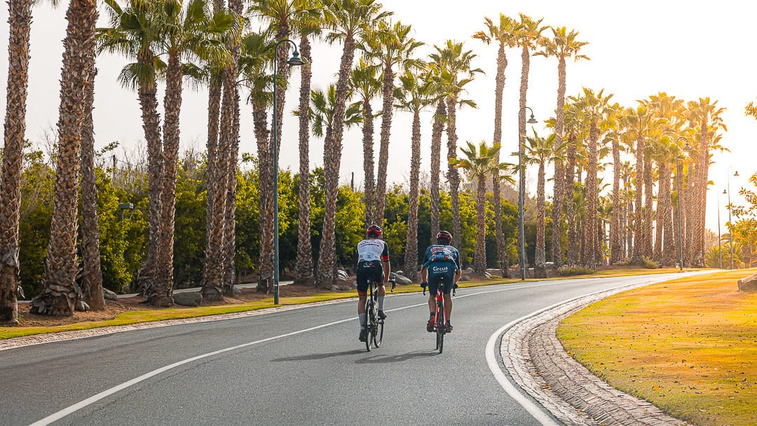 Two cyclists riding a palm-lined road in Tenerife during golden hour