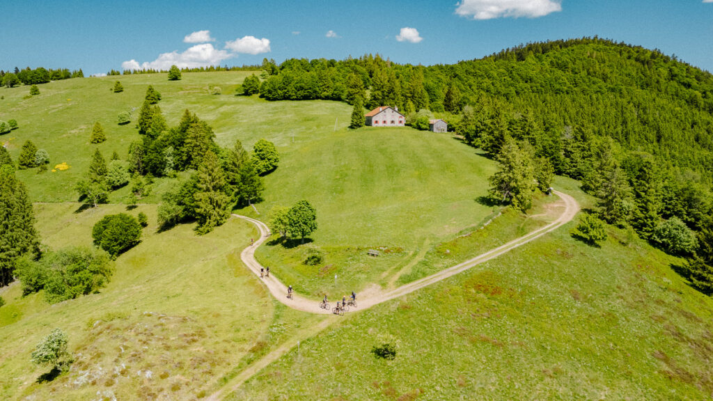 Cyclists climbing an exposed gravel route with trees and green grass in France