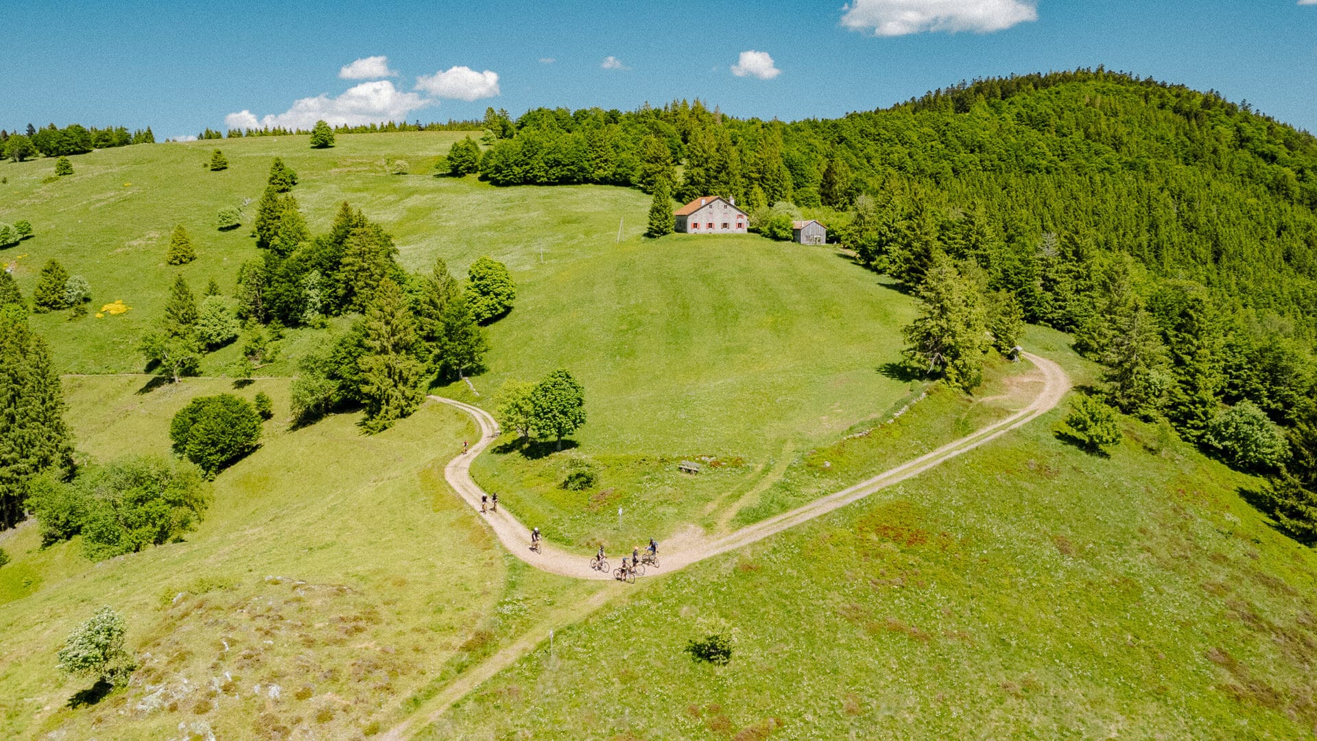 Cyclists climbing an exposed gravel route with trees and green grass in France