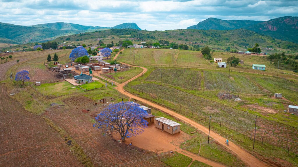 Cycling through rural Eswatini beside bright blue jacaranda trees