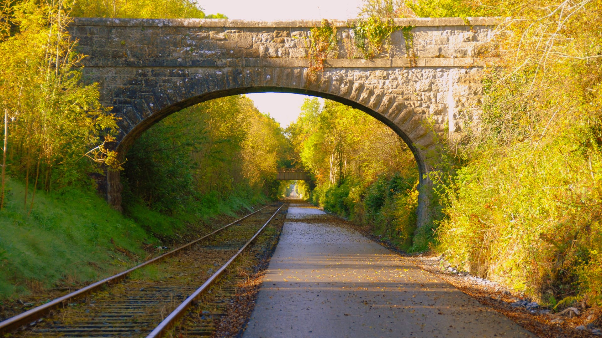 Autumn colours along the Old Rail Trail Greenway in County Westmeath, Ireland