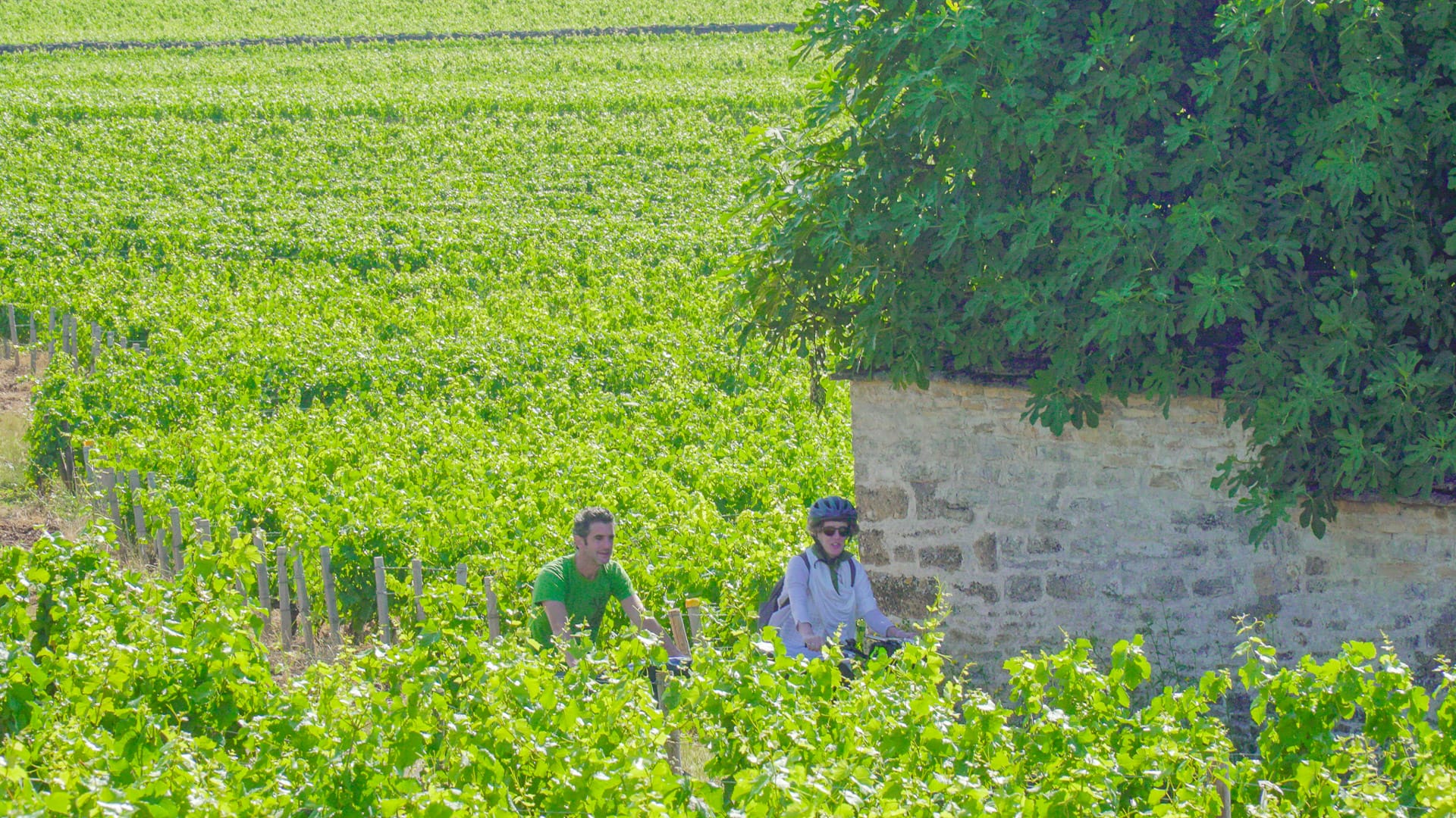 Two cyclists riding past lush vegetation on a summer Burgundy bike trip, France