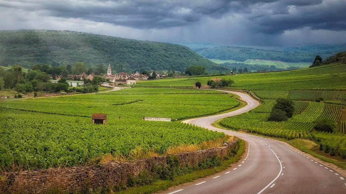 Landscape view along the road at Auxey-Duresses, Burgundy, France