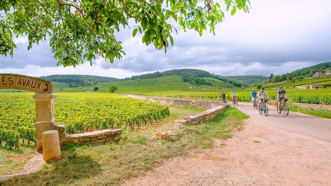 Cyclists riding through green countryside on a Burgundy bike ride, France