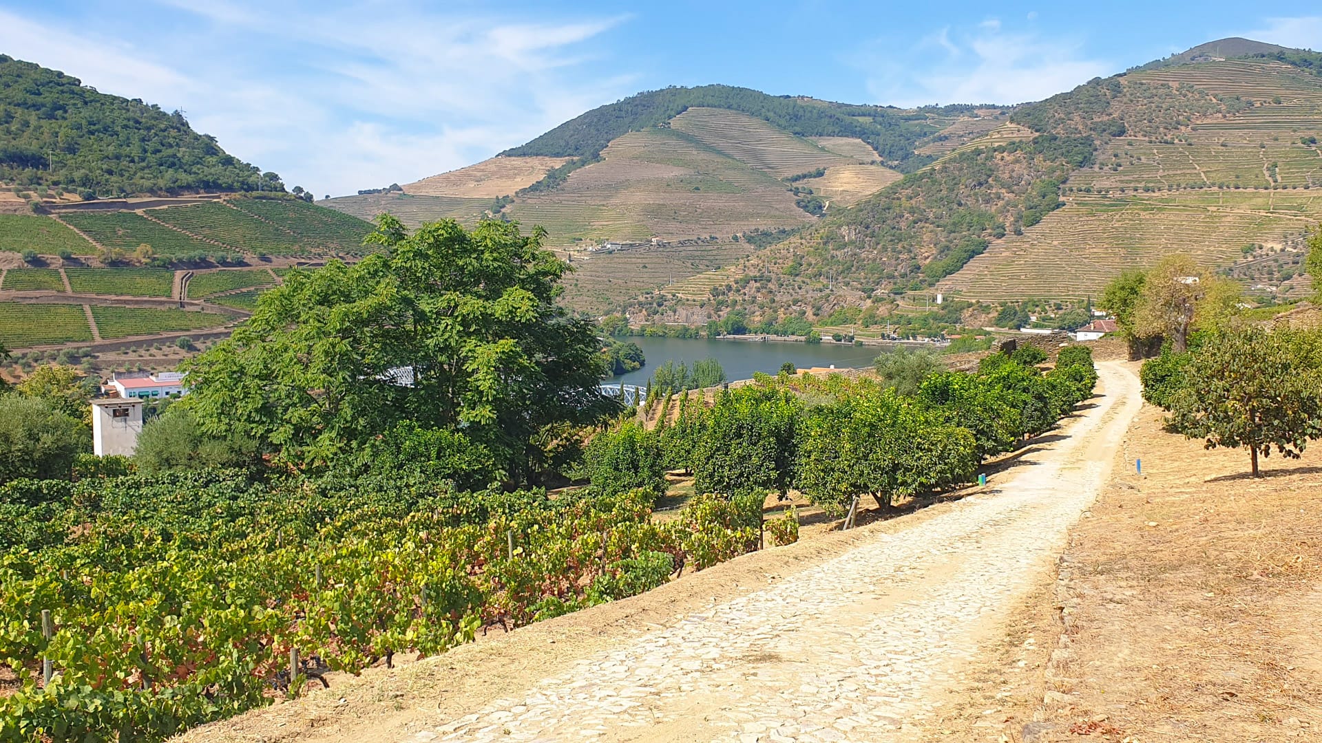 Gravel cycling route running beside the Douro Valley river in Portugal