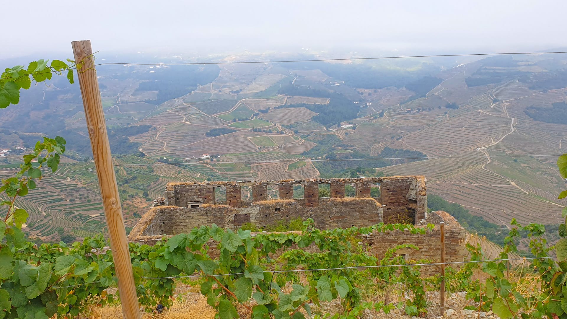 Misty view over the vineyards from a high vantage point in the Douro Valley