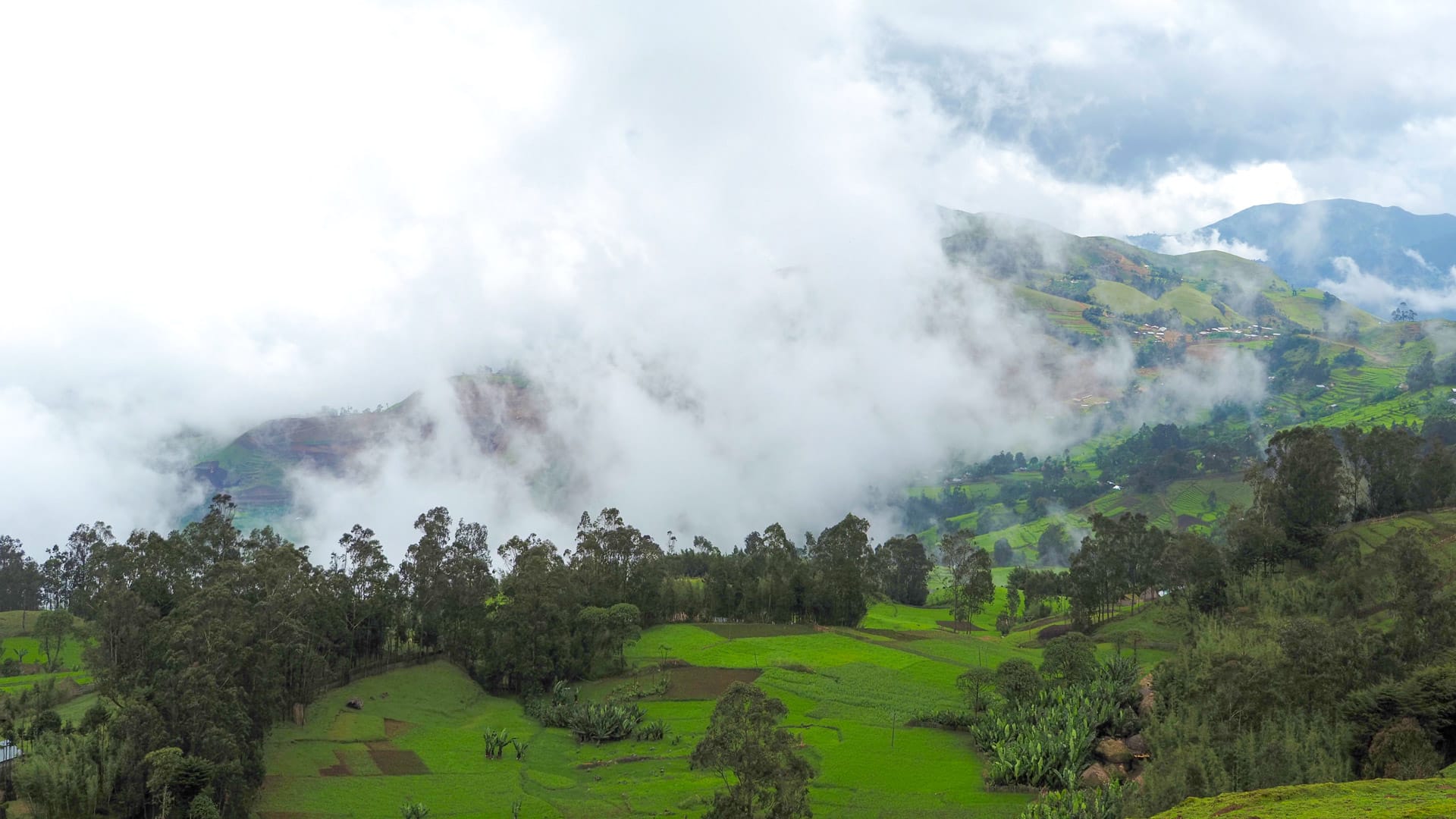 Scenic view of the Gamo Highlands