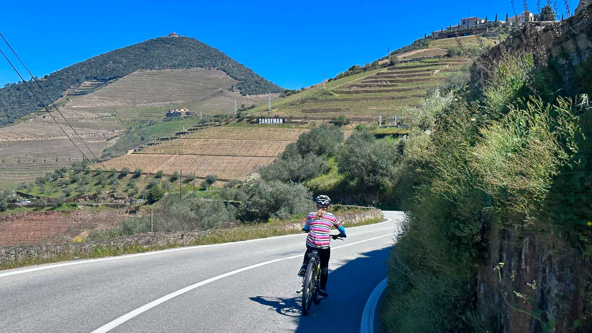 Cyclist riding the EN222 road along the Douro Valley river and vineyards in Portugal