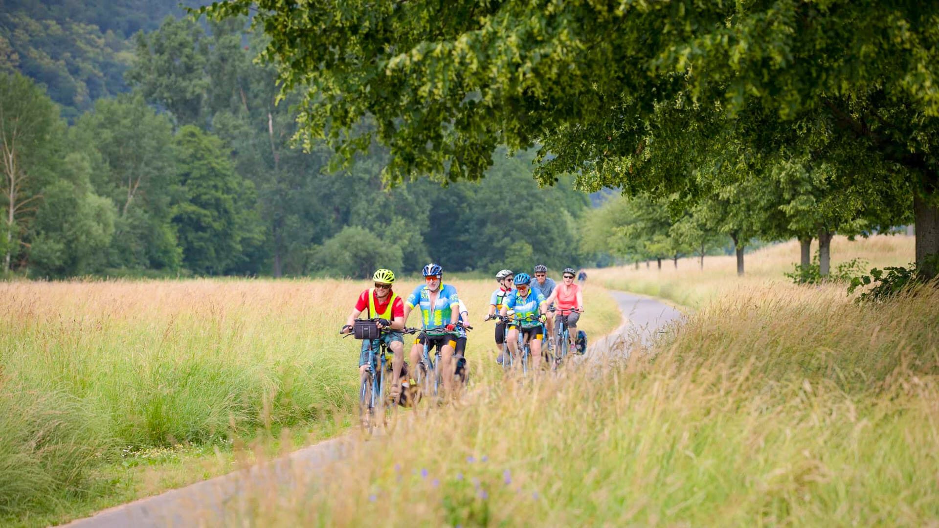 Senior cyclists riding on a paved path surrounded by green countryside