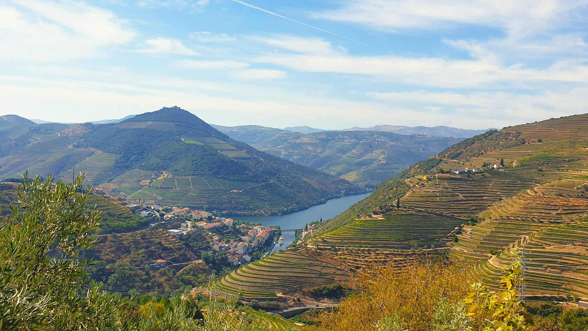 Terraced vineyards carved into the hillsides along the Douro River