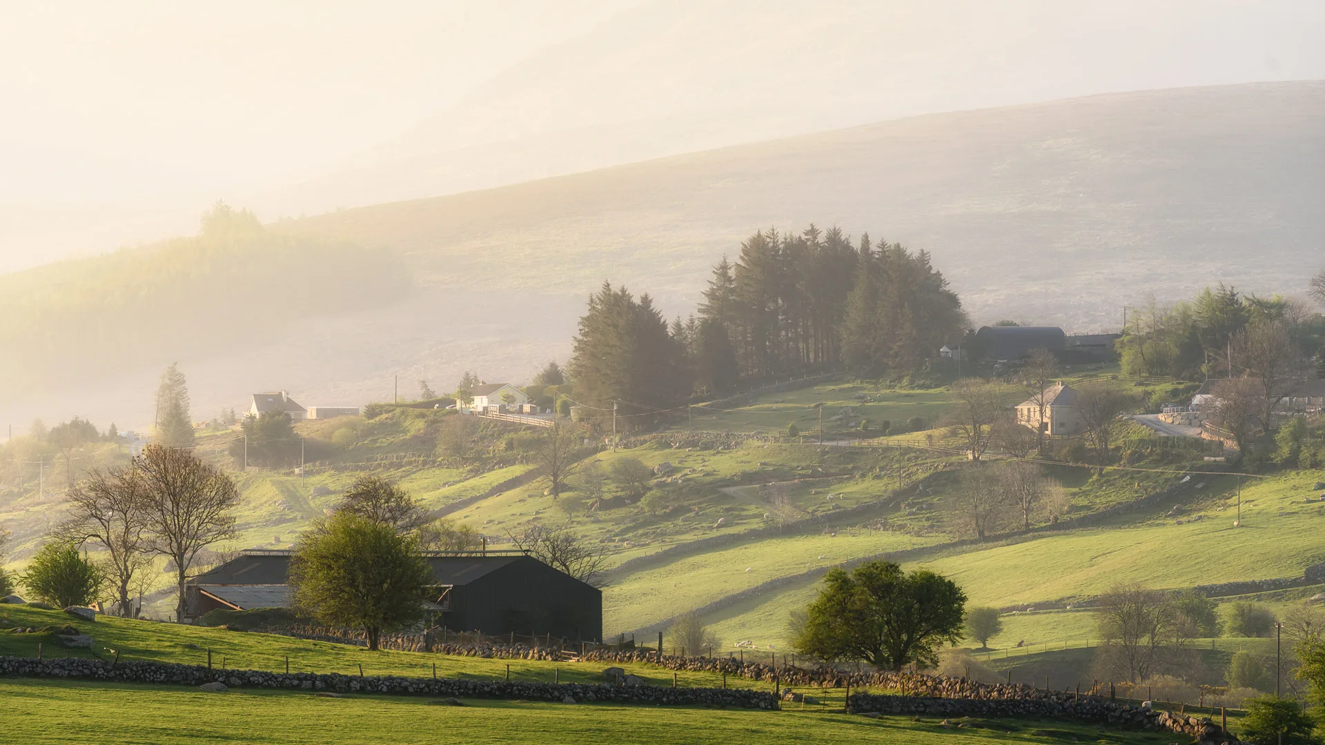 The land rises into rolling hills, going on to meet the Wicklow Mountains in the centre of the county.