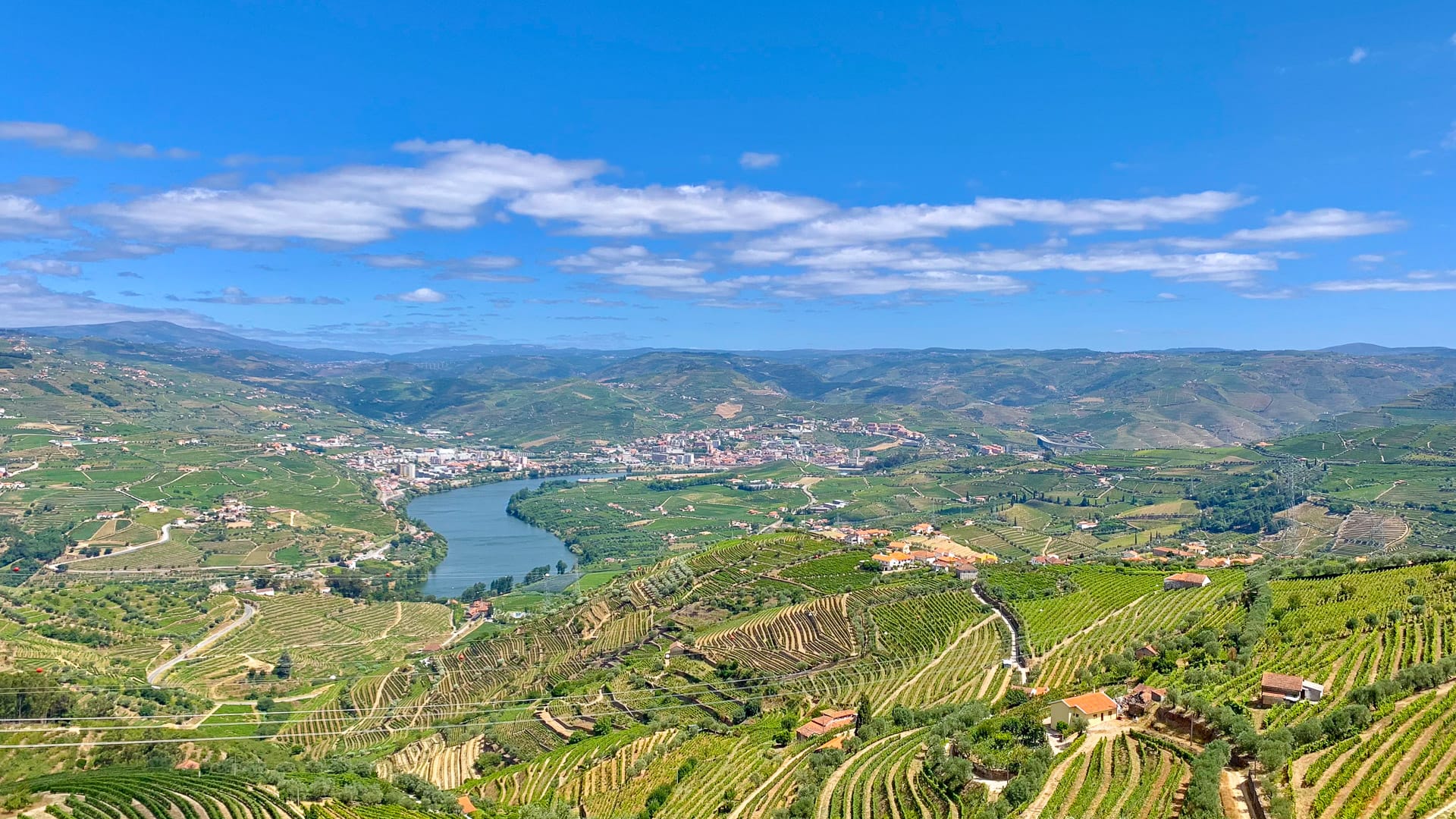 Aerial view of the Douro Valley with terraced vineyards and river below, Portugal