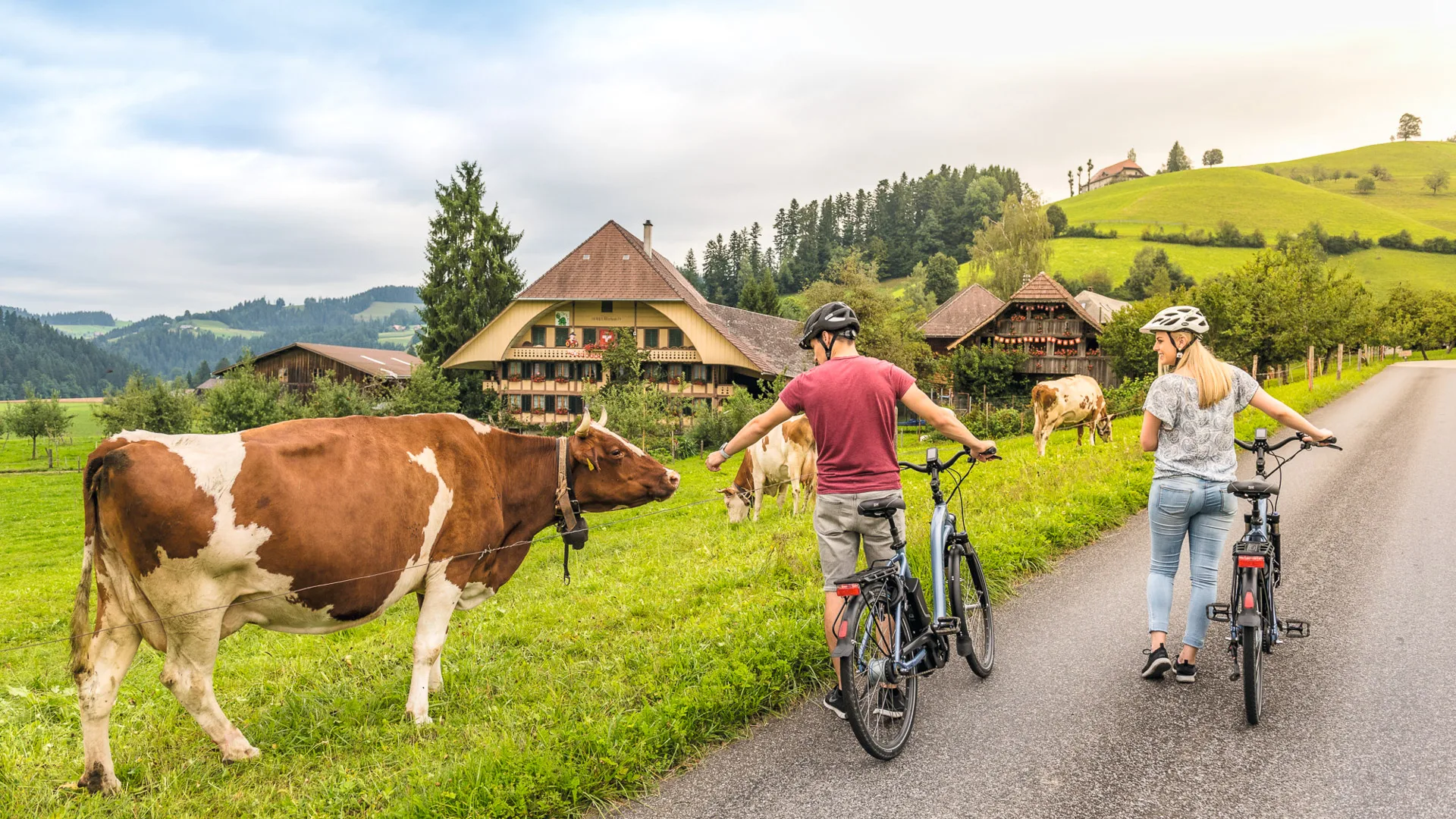Cyclists feeding a cow while e-biking through the Emmental countryside in Switzerland