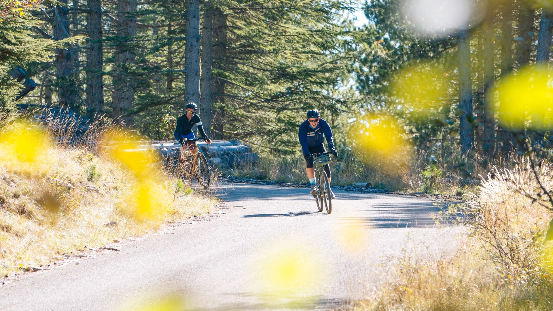 Cyclists riding on an asphalt section of the Mont Ventoux ascent