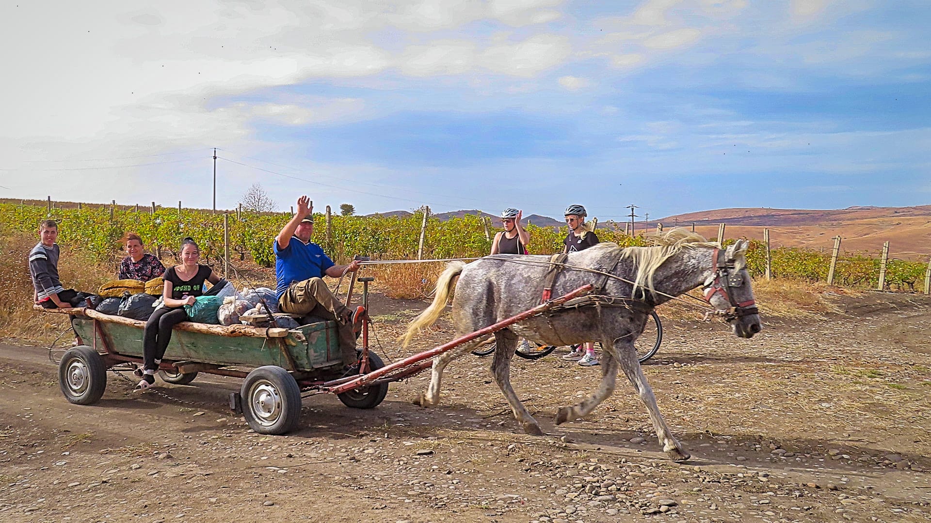 Cyclist on a gravel tour through winery country, meeting locals along the way