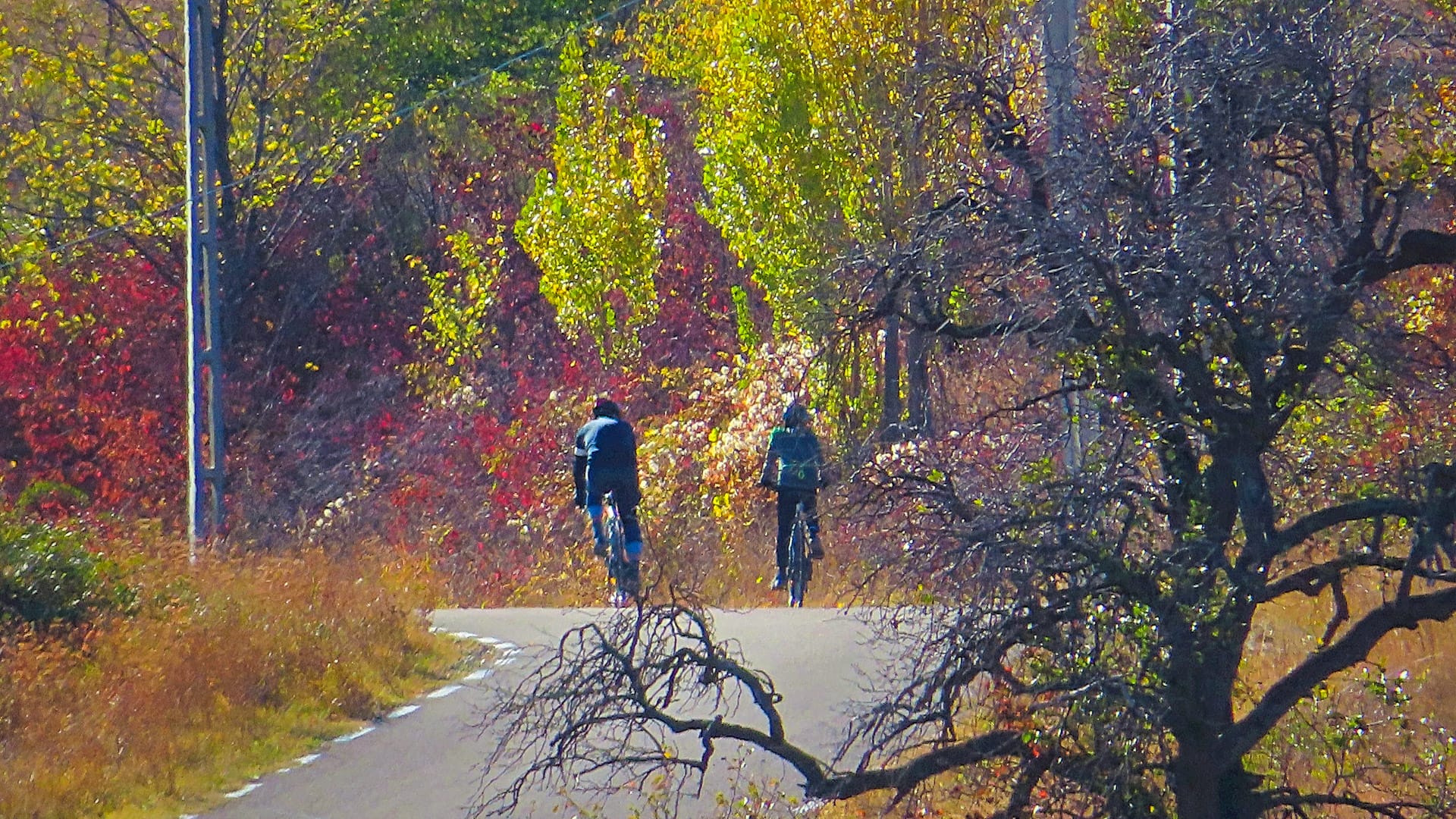 Two cyclists on a wine bike tour near Bucharest
