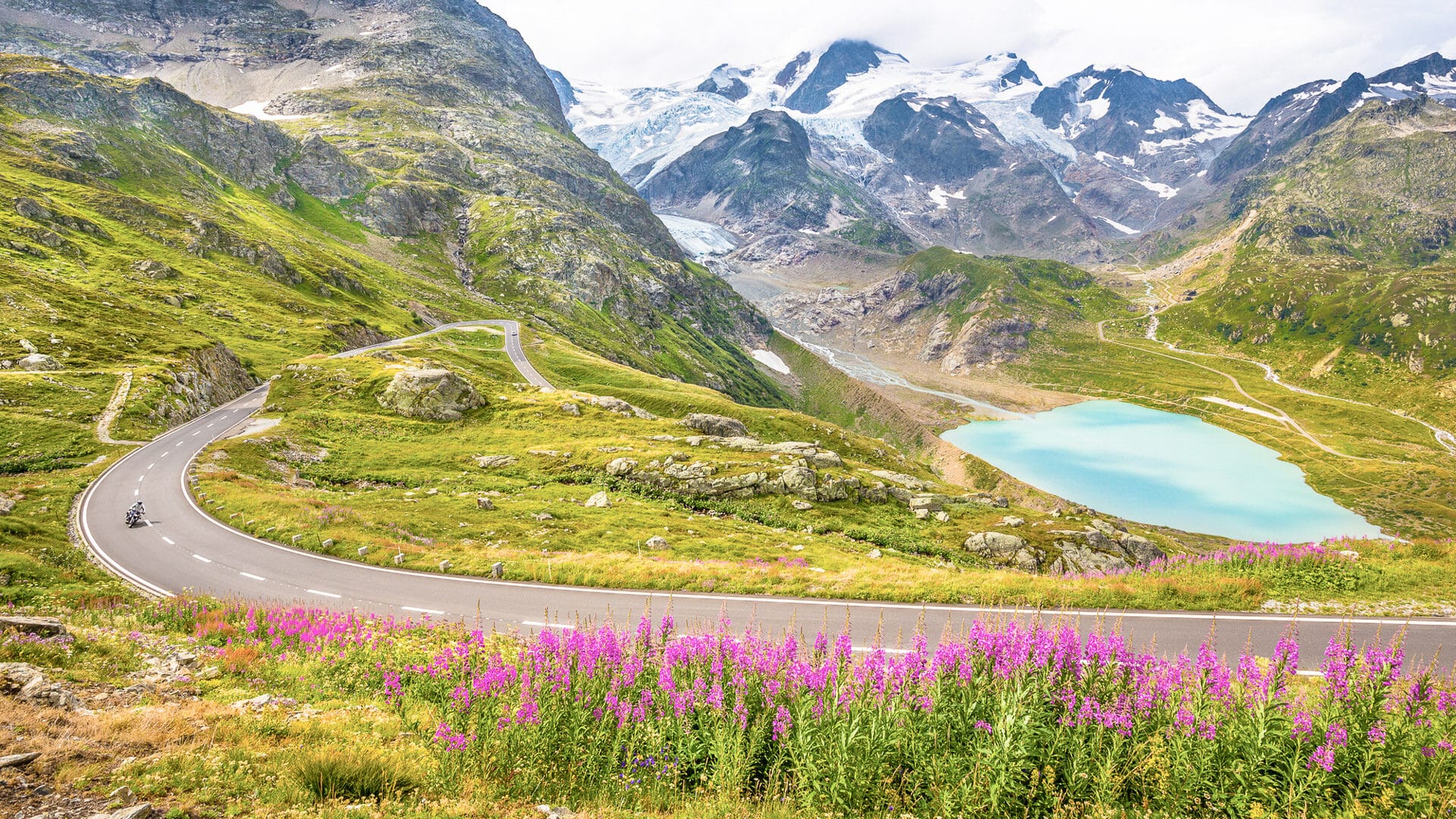 Beautiful view of cyclist driving on winding mountain pass road in the Alps through gorgeous scenery with mountain peaks, glaciers, lakes and green pastures with blooming flowers in summer