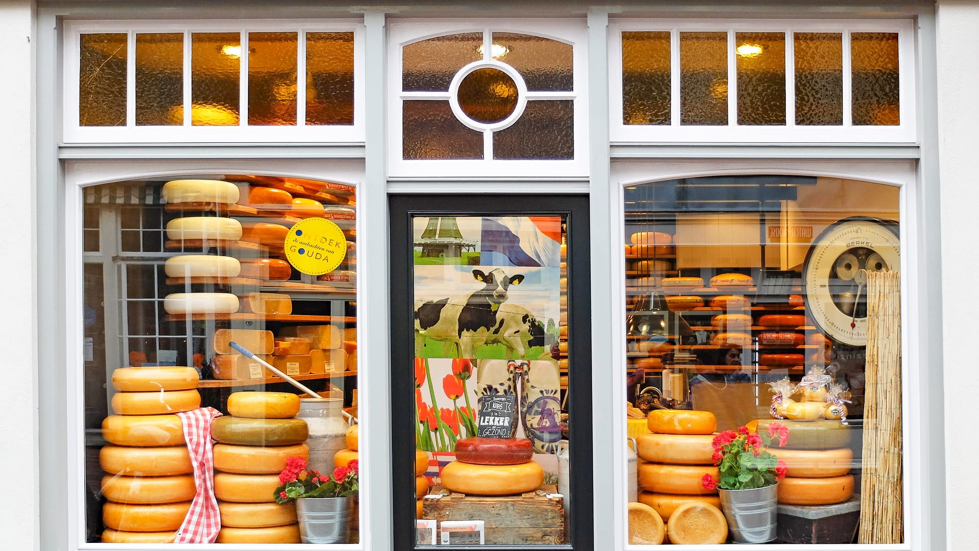 Traditional cheese shop in the Netherlands with shelves of Dutch cheeses on display