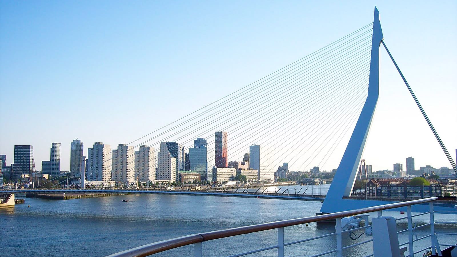 Erasmus Bridge in Rotterdam, Netherlands with modern architecture spanning the river