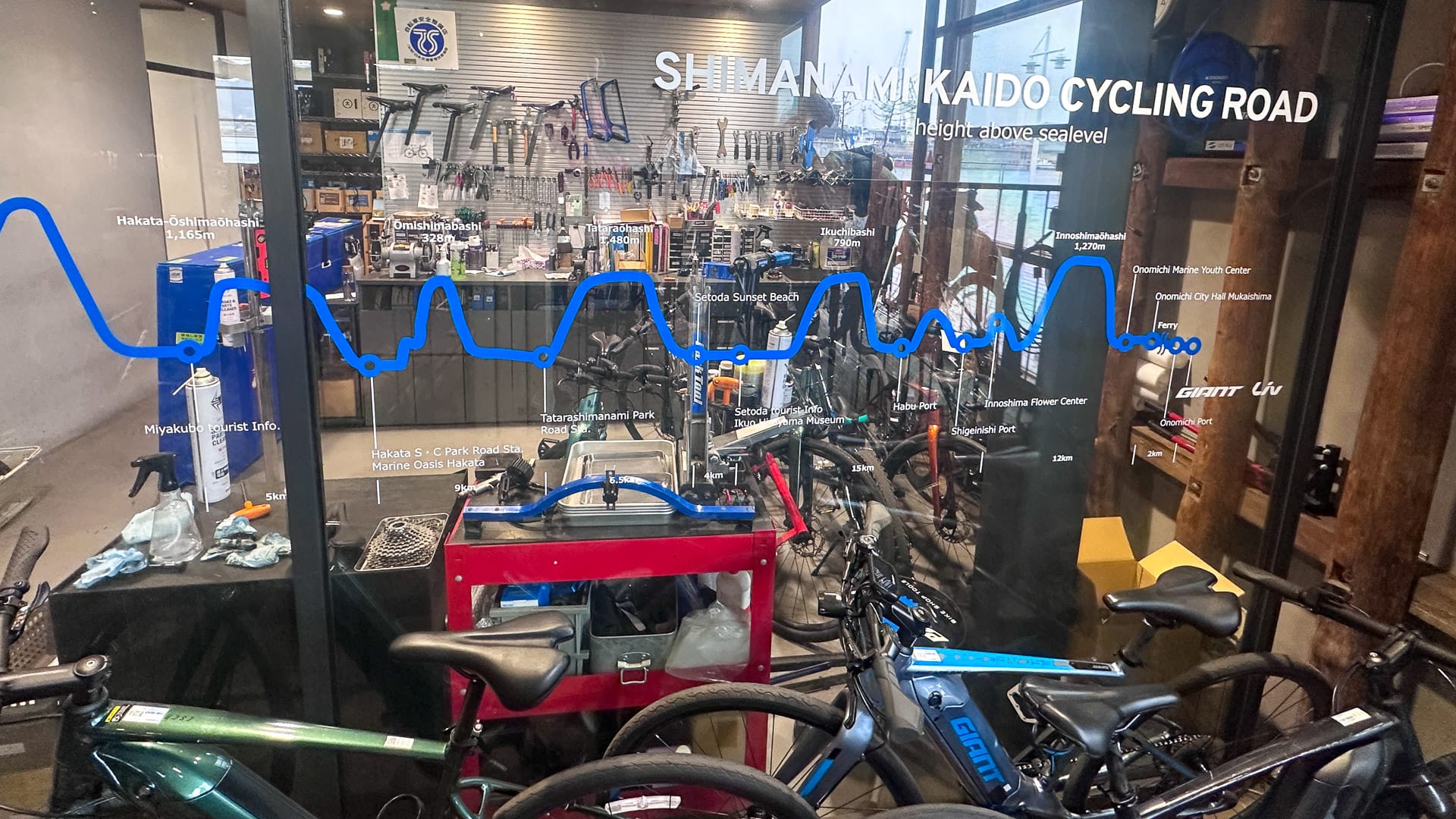 Giant bike hire service available in Japan with multiple bikes ready for riders