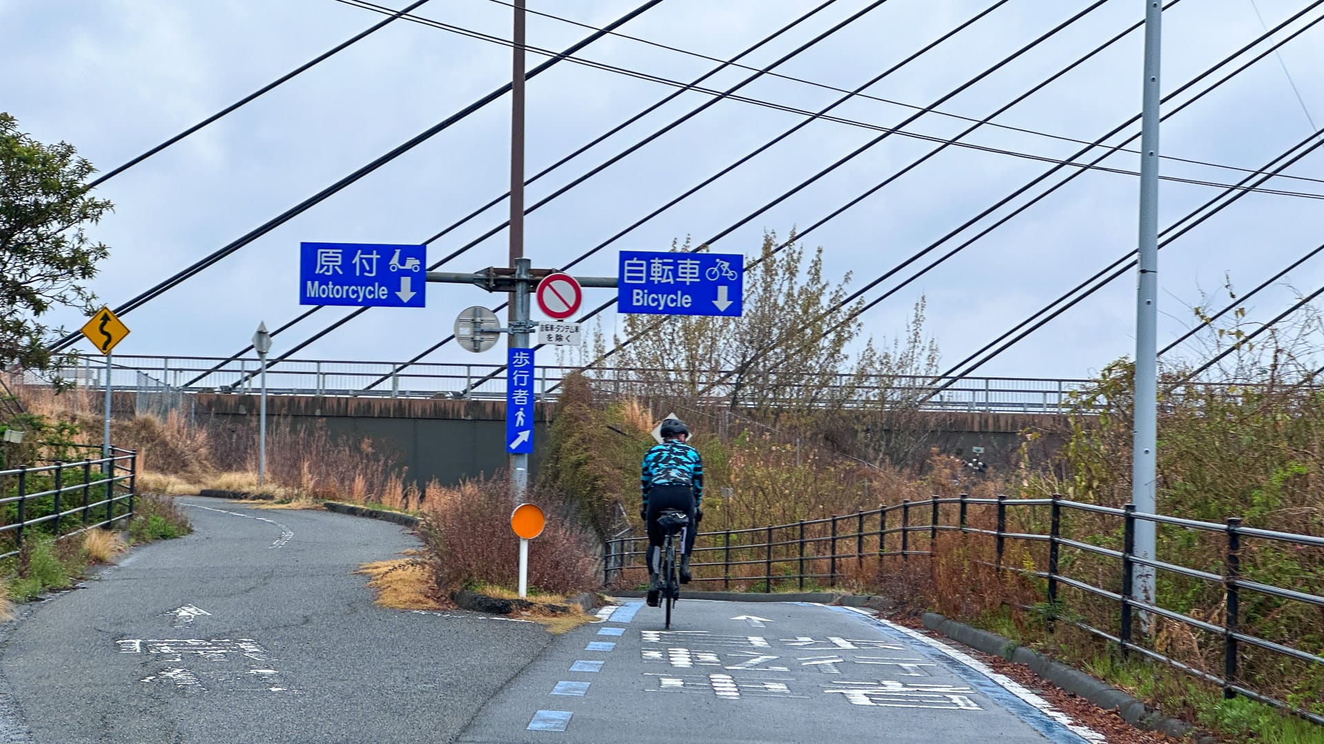 Cyclist on designated bike path on Omishima Island, Shimanami Kaido, Japan