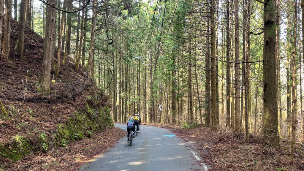 Cycling with Rindo Bike Tour Japan 2026: Our itinerary + review