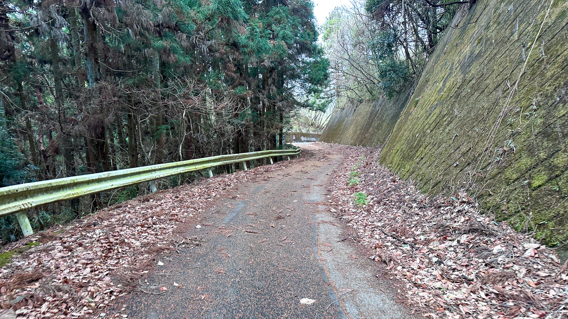 Road conditions on Rindo bike tour Japan showing debris and unswept sections