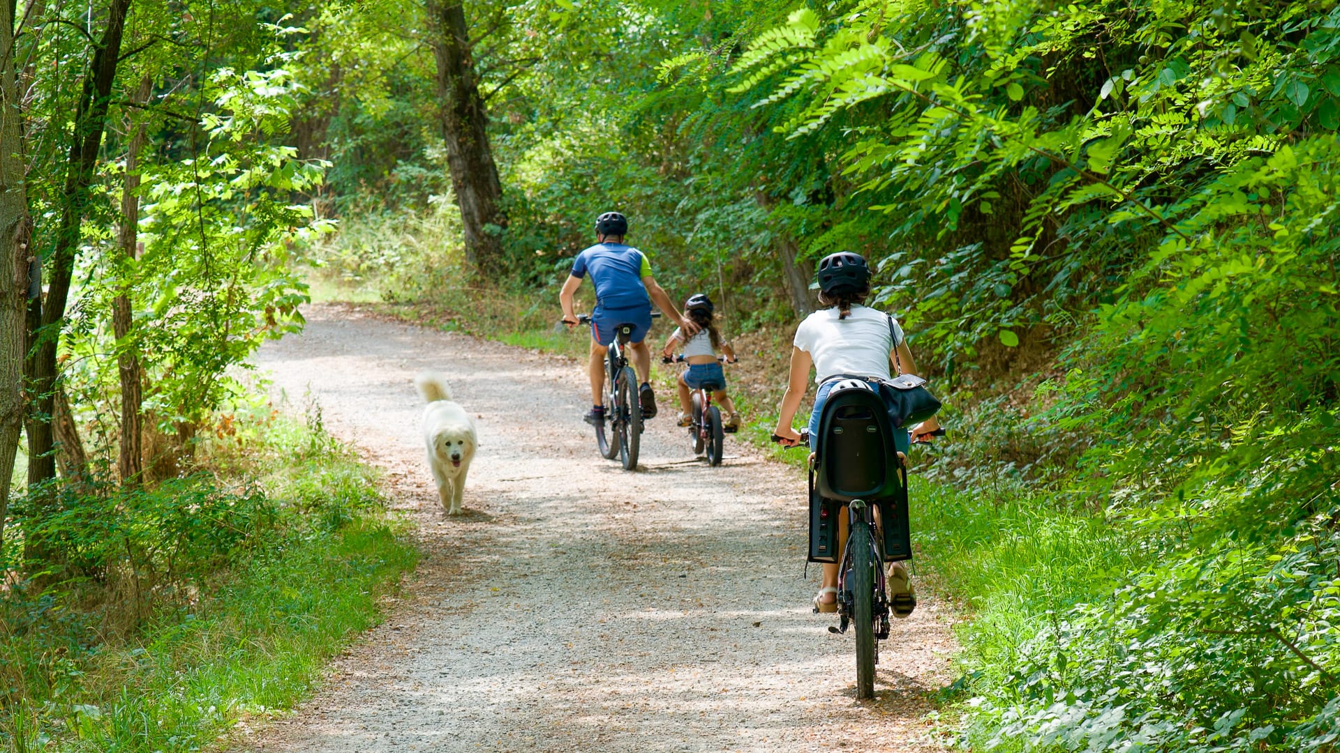 Cycling through Gesso e Stura River Park surrounded by alpine scenery