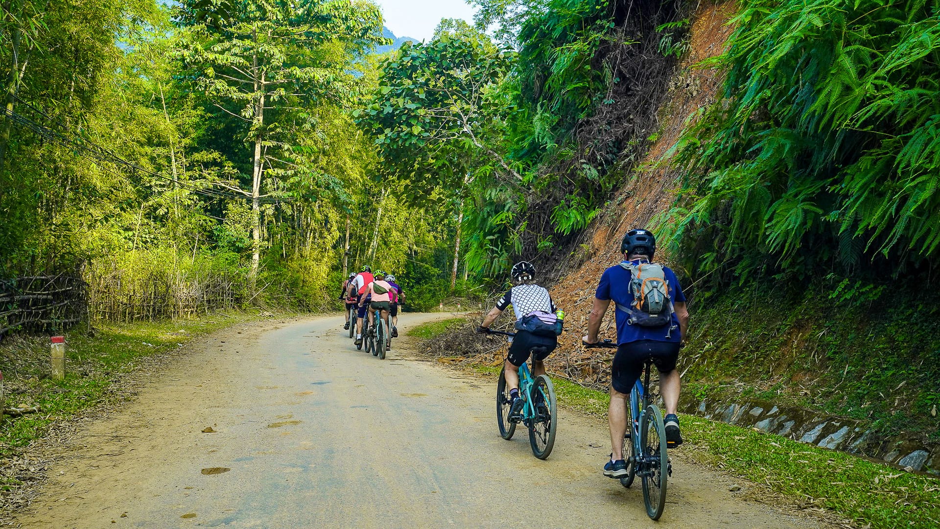 Cyclists riding through forest on a Northern Vietnam cycling tour
