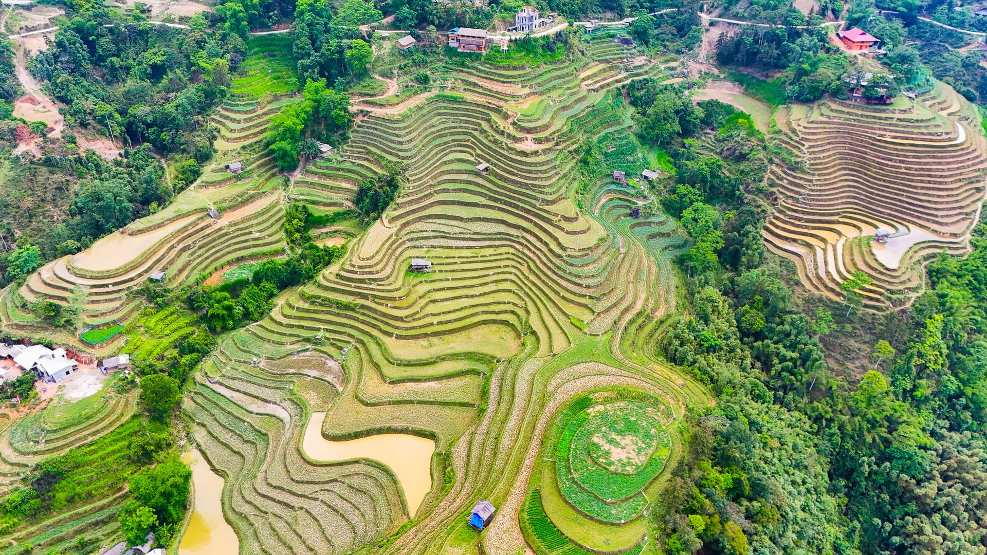 Aerial view of Ha Giang featuring terraced rice fields