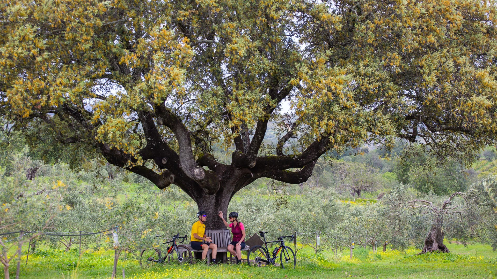 Countryhouse accommodation in Santo Estêvão, Tavira, with relaxing spots after a day in the saddle