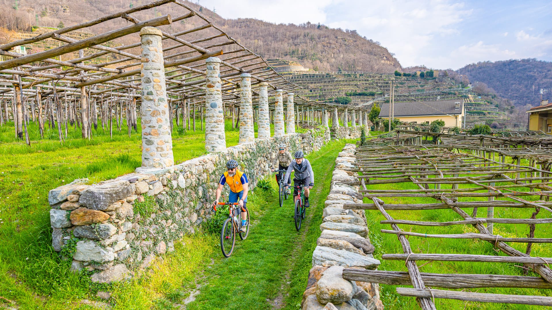 Cyclists exploring the Carema vineyards and village in Piedmont